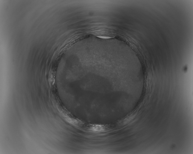 X0000116120091200912071356