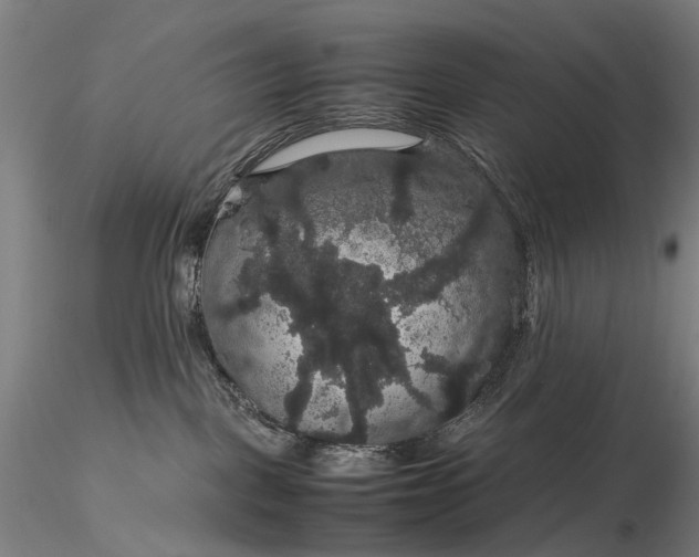 X0000116120093200912071356