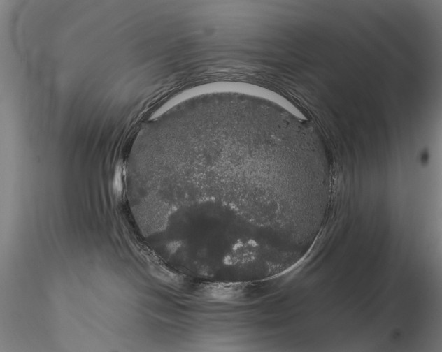 X0000116120094200912071356