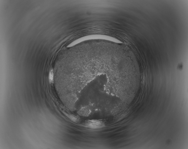 X0000116120095200912071356