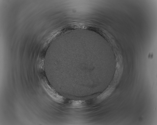 X0000116120096200912071356