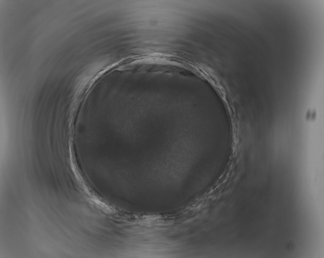 X0000116120097200912071355