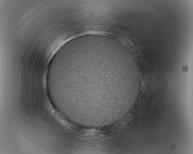 X0000116120098200912071355