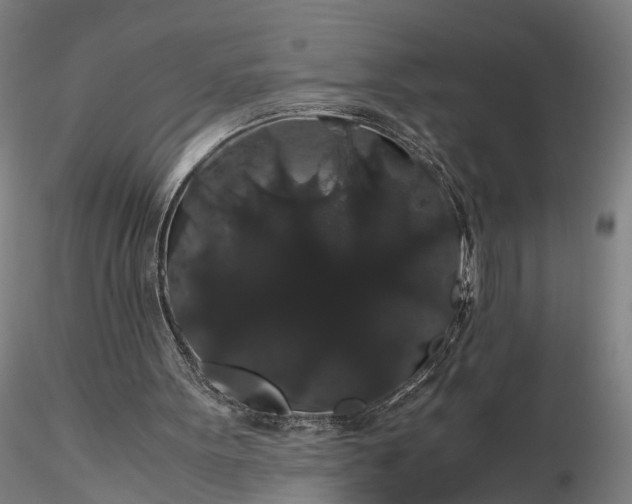 X0000116120099200912071355