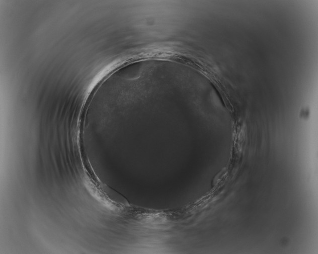 X0000116120100200912071355