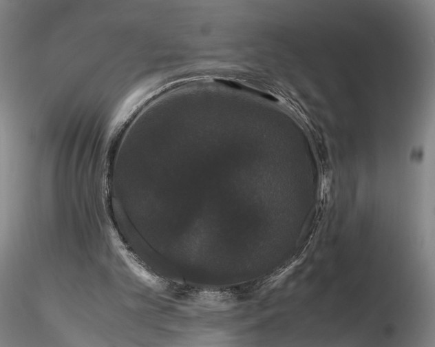 X0000116120101200912071355