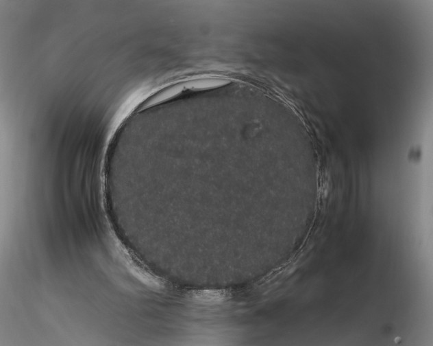 X0000116120102200912071355