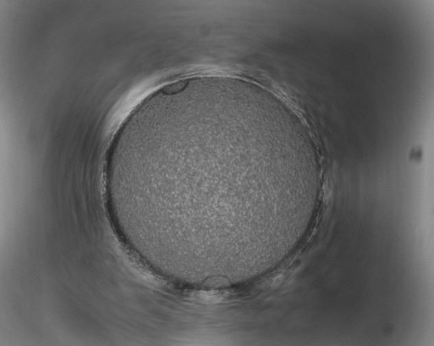 X0000116120103200912071355