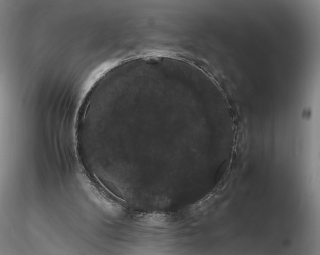 X0000116120104200912071355