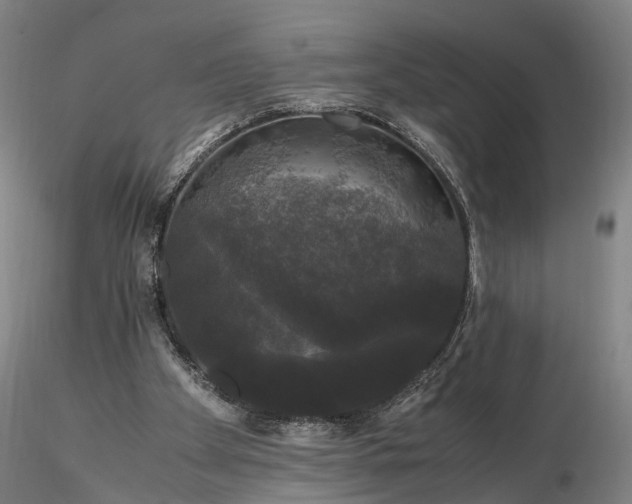 X0000116120105200912071355