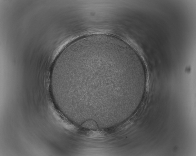 X0000116120107200912071355