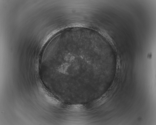 X0000116120108200912071355