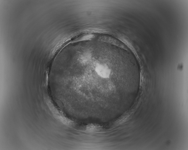 X0000116120109200912071355