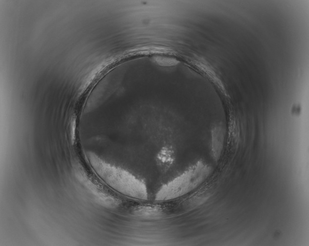 X0000116120110200912071355