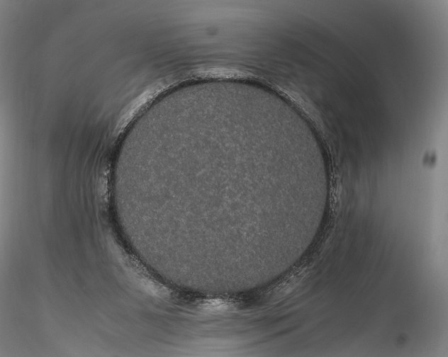 X0000116120111200912071355