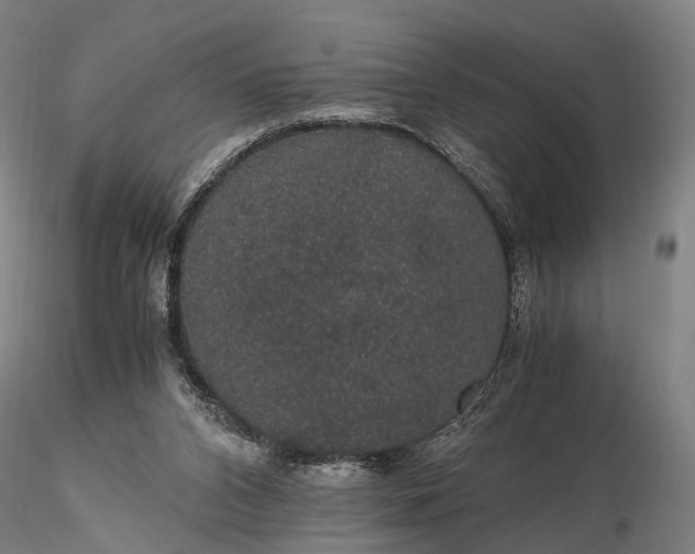 X0000116120112200912071355