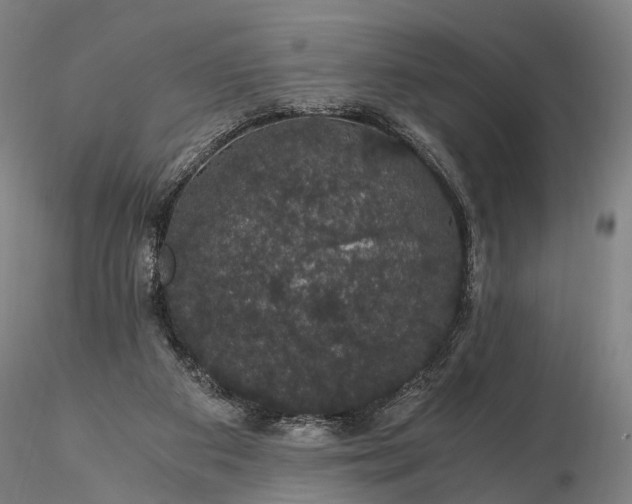 X0000116120113200912071355