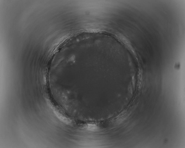 X0000116120114200912071355