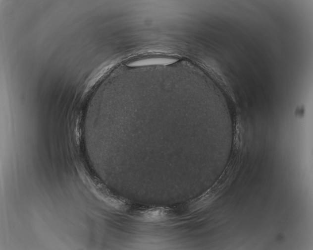 X0000116120116200912071355