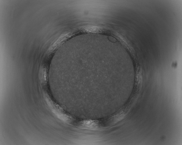 X0000116120117200912071355