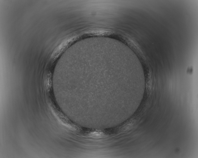 X0000116120119200912071355