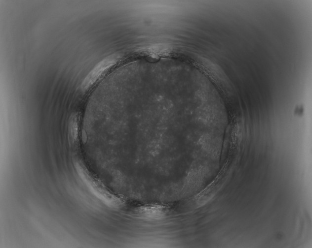 X0000116120120200912071355