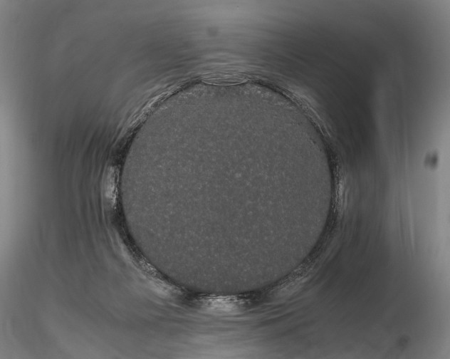 X0000116120121200912071355