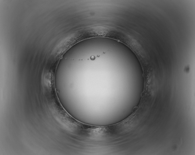 X0000116120122200912071355