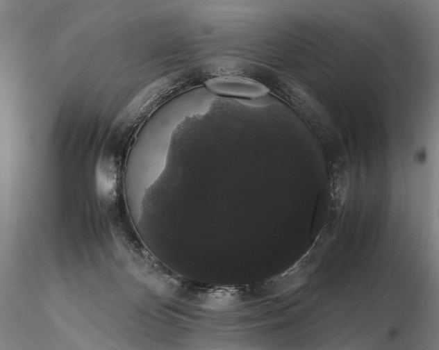 X0000116120124200912071355