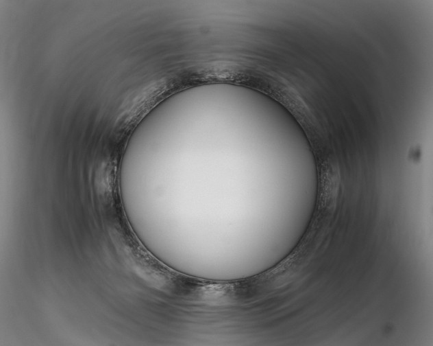 X0000116120126200912071355