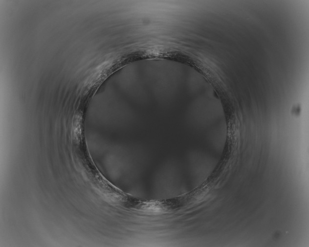 X0000116120127200912071355