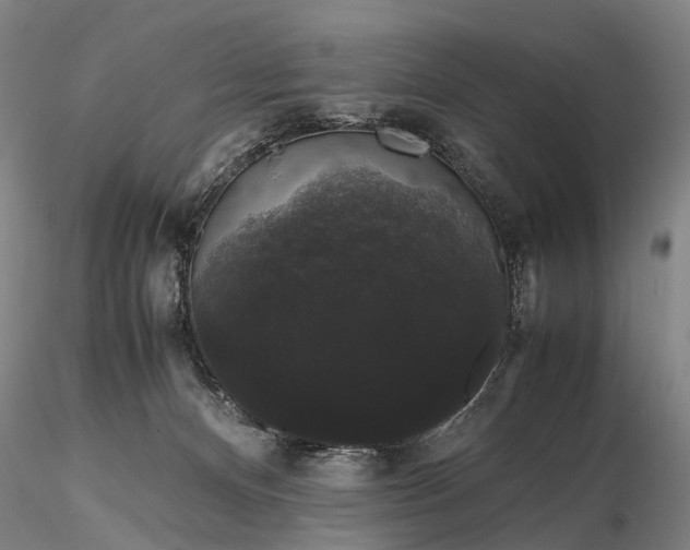 X0000116120128200912071355