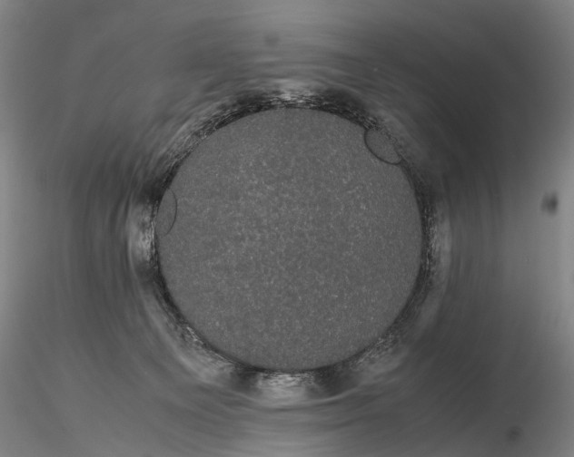 X0000116120129200912071355