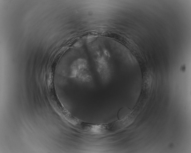 X0000116120130200912071355