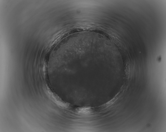 X0000116120132200912071355