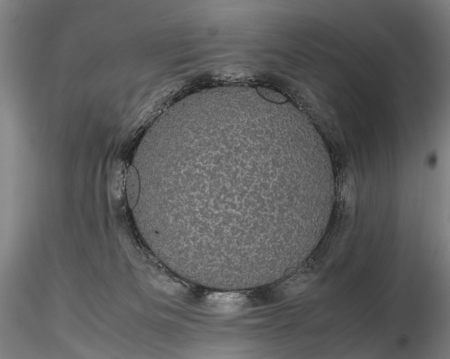 X0000116120133200912071355