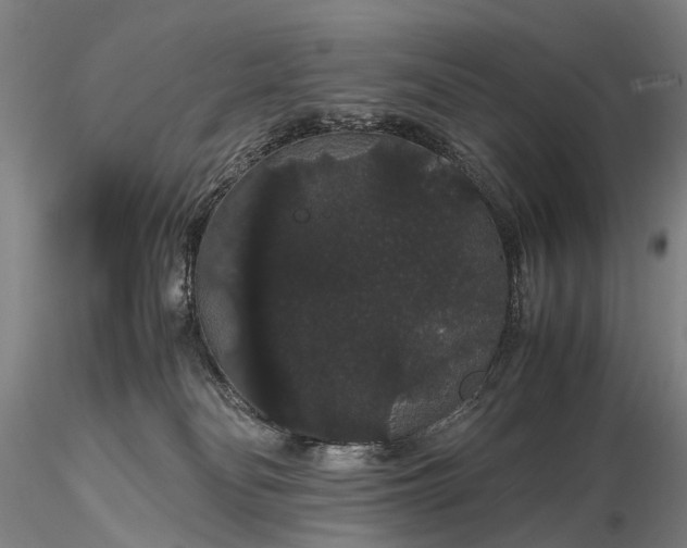 X0000116120134200912071355