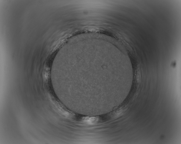 X0000116120135200912071355