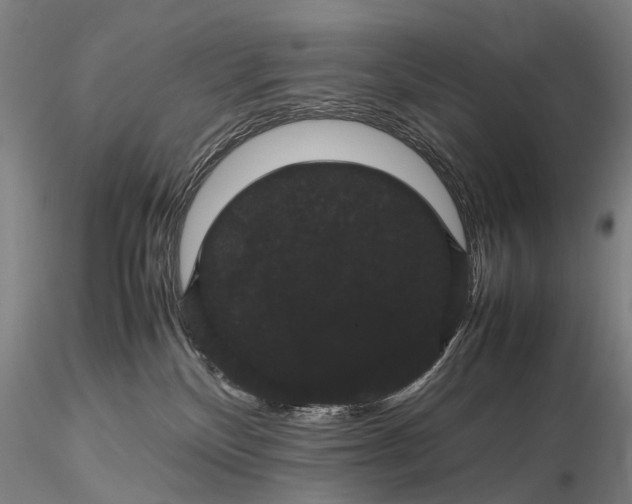 X0000116120136200912071355