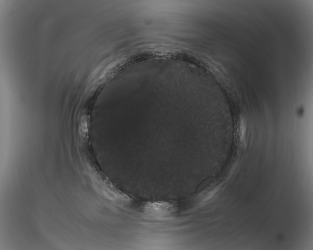 X0000116120137200912071355