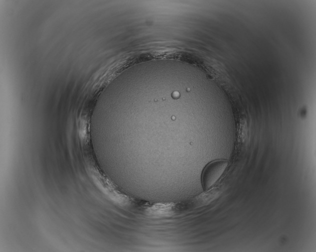 X0000116120138200912071355