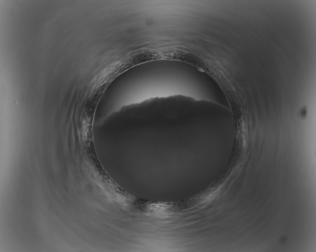 X0000116120139200912071355