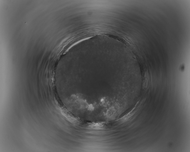 X0000116120140200912071355