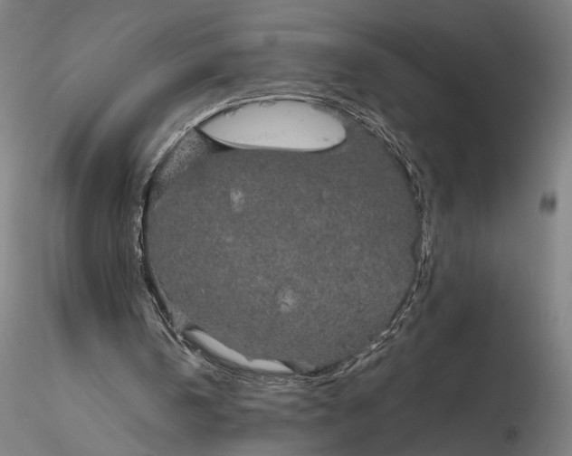 X0000116120146200912071354