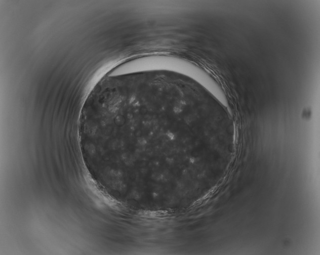 X0000116120147200912071354