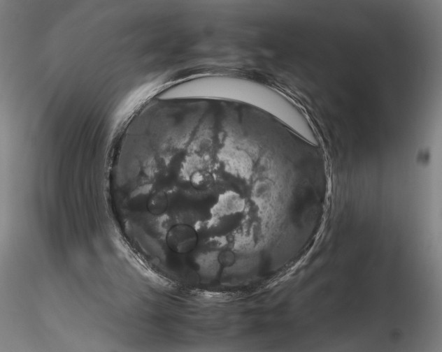 X0000116120149200912071354