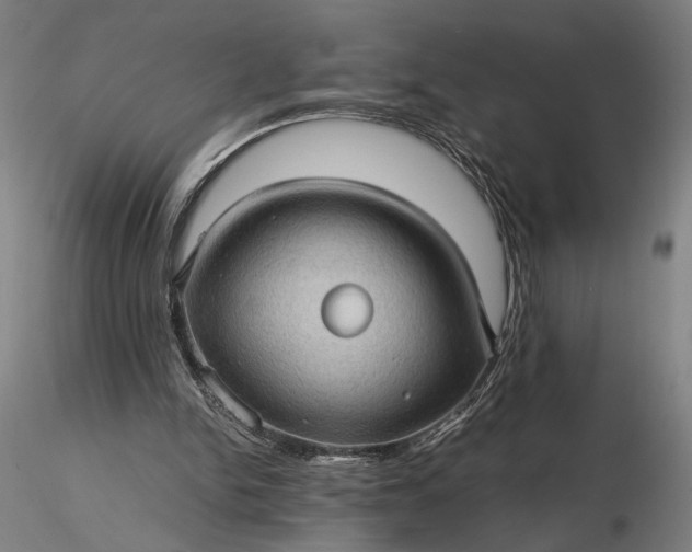 X0000116120150200912071354