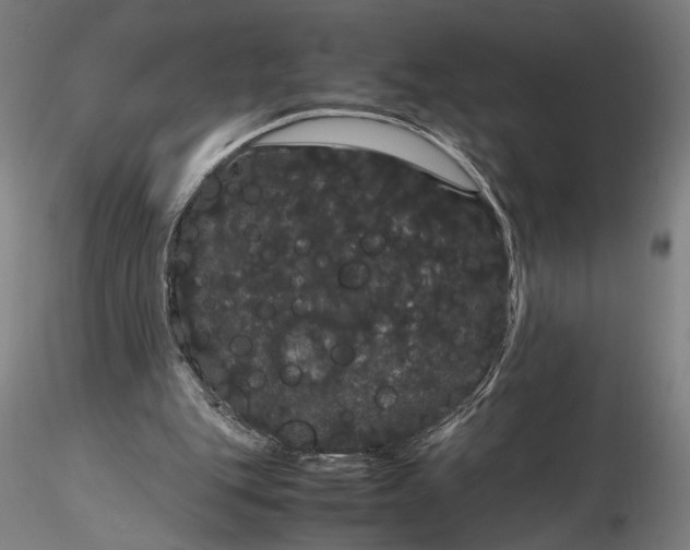 X0000116120151200912071354