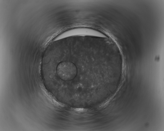 X0000116120153200912071354