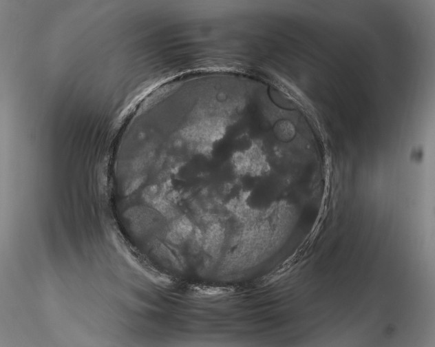 X0000116120155200912071354